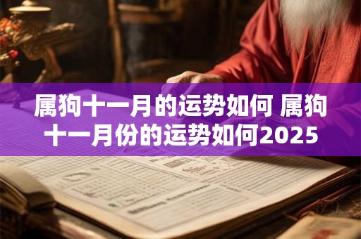 属狗十一月的运势如何 属狗十一月份的运势如何2025