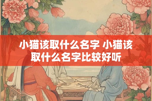 小猫该取什么名字 小猫该取什么名字比较好听