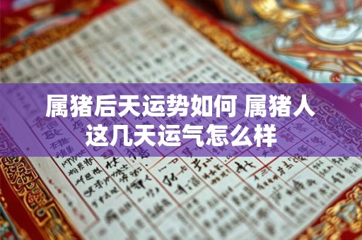 属猪后天运势如何 属猪人这几天运气怎么样