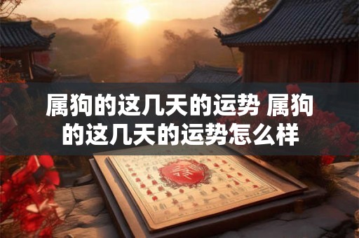 属狗的这几天的运势 属狗的这几天的运势怎么样