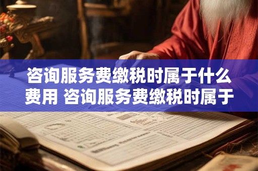 咨询服务费缴税时属于什么费用 咨询服务费缴税时属于什么费用科目