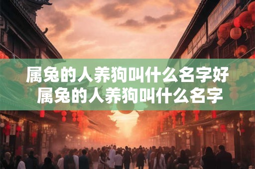 属兔的人养狗叫什么名字好 属兔的人养狗叫什么名字好一点