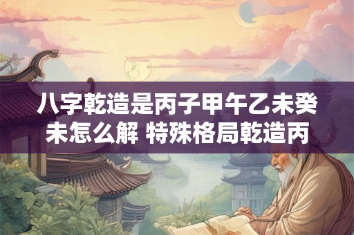 八字乾造是丙子甲午乙未癸未怎么解 特殊格局乾造丙子癸巳癸亥庚申