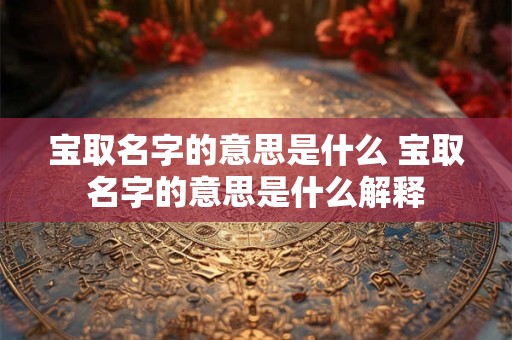 宝取名字的意思是什么 宝取名字的意思是什么解释