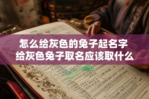怎么给灰色的兔子起名字 给灰色兔子取名应该取什么名字