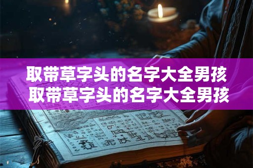 取带草字头的名字大全男孩 取带草字头的名字大全男孩两个字