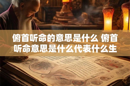 俯首听命的意思是什么 俯首听命意思是什么代表什么生肖