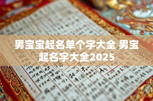 男宝宝起名单个字大全 男宝起名字大全2025