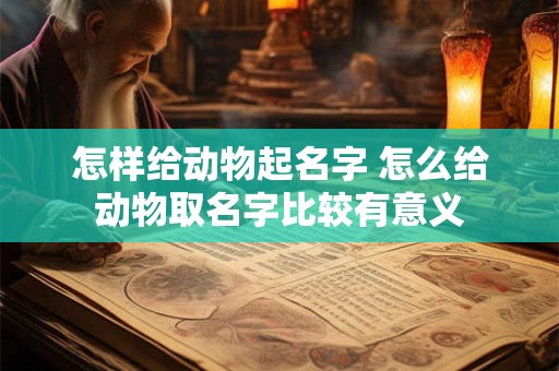 怎样给动物起名字 怎么给动物取名字比较有意义