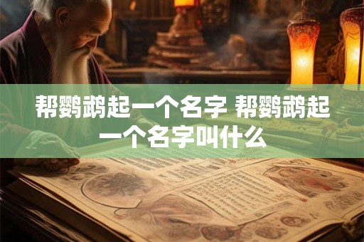 帮鹦鹉起一个名字 帮鹦鹉起一个名字叫什么
