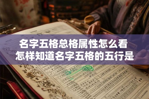 名字五格总格属性怎么看 怎样知道名字五格的五行是什么