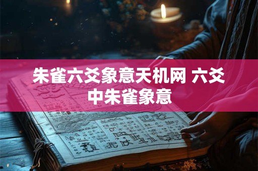 朱雀六爻象意天机网 六爻中朱雀象意