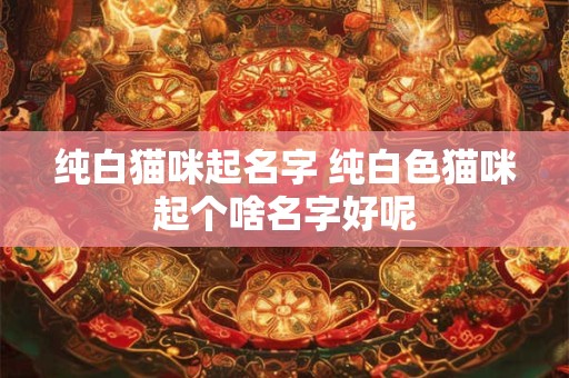 纯白猫咪起名字 纯白色猫咪起个啥名字好呢