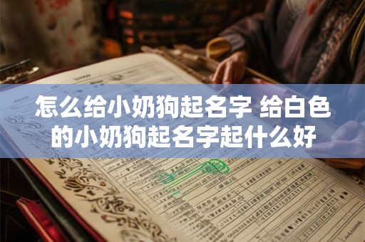 怎么给小奶狗起名字 给白色的小奶狗起名字起什么好