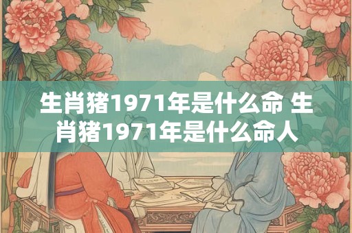 生肖猪1971年是什么命 生肖猪1971年是什么命人