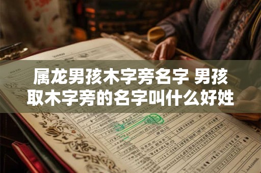 属龙男孩木字旁名字 男孩取木字旁的名字叫什么好姓龙