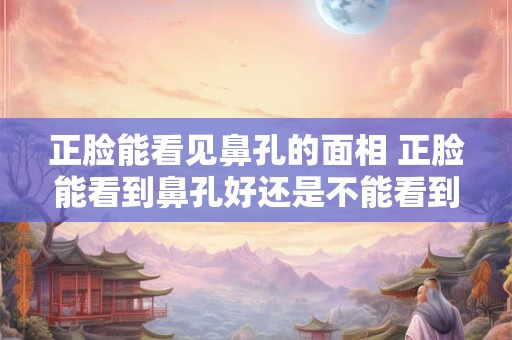 正脸能看见鼻孔的面相 正脸能看到鼻孔好还是不能看到鼻孔好