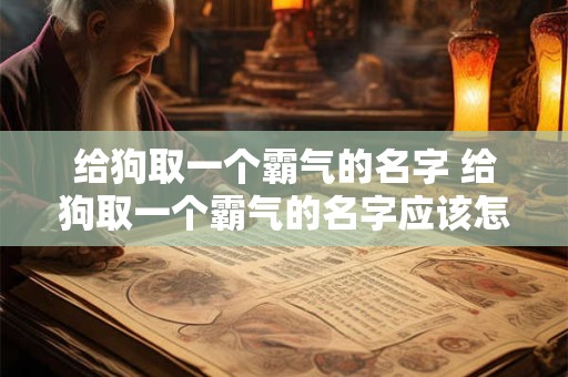 给狗取一个霸气的名字 给狗取一个霸气的名字应该怎么取