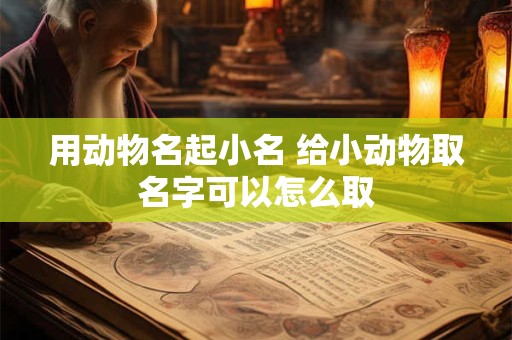 用动物名起小名 给小动物取名字可以怎么取