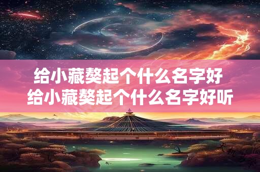 给小藏獒起个什么名字好 给小藏獒起个什么名字好听点