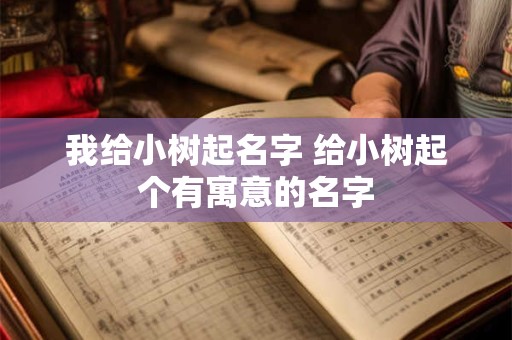 我给小树起名字 给小树起个有寓意的名字
