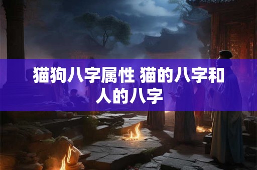 猫狗八字属性 猫的八字和人的八字