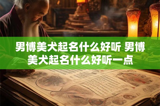 男博美犬起名什么好听 男博美犬起名什么好听一点