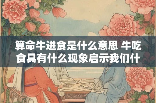 算命牛进食是什么意思 牛吃食具有什么现象启示我们什么