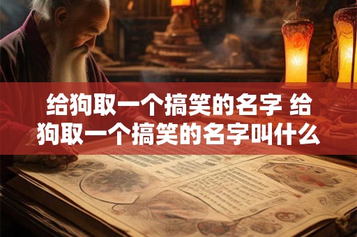 给狗取一个搞笑的名字 给狗取一个搞笑的名字叫什么