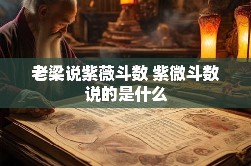 老梁说紫薇斗数 紫微斗数说的是什么