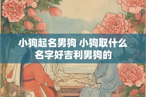 小狗起名男狗 小狗取什么名字好吉利男狗的