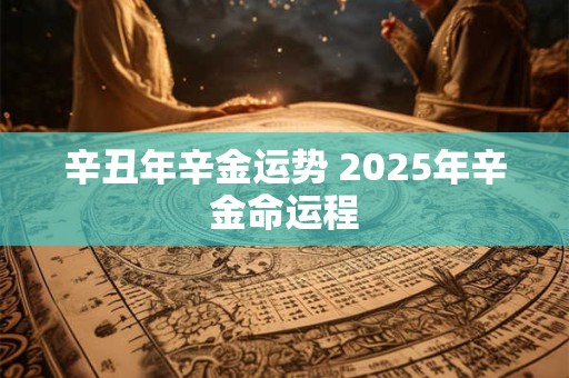 辛丑年辛金运势 2025年辛金命运程