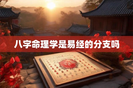 八字命理学是易经的分支吗