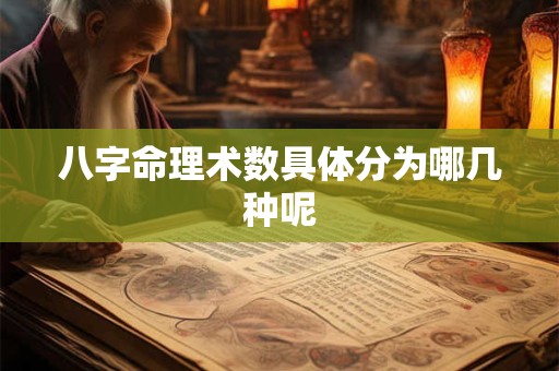 八字命理术数具体分为哪几种呢