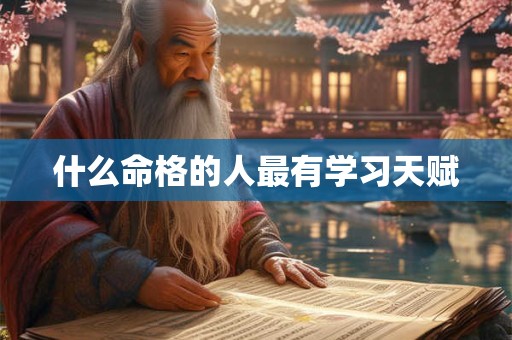 什么命格的人最有学习天赋