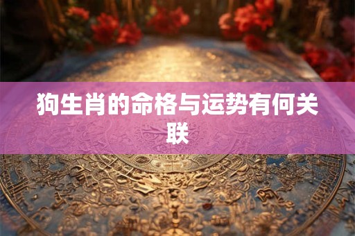狗生肖的命格与运势有何关联