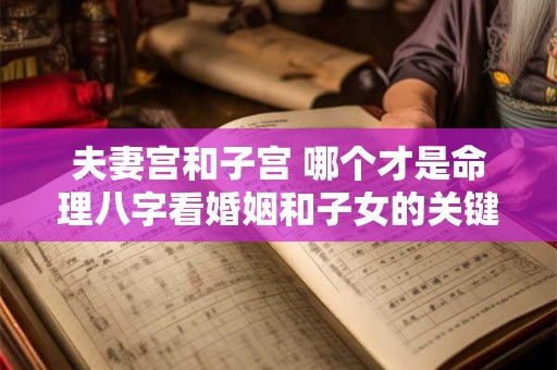 夫妻宫和子宫 哪个才是命理八字看婚姻和子女的关键