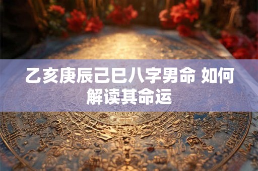 乙亥庚辰己巳八字男命 如何解读其命运