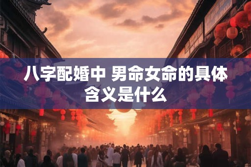 八字配婚中 男命女命的具体含义是什么