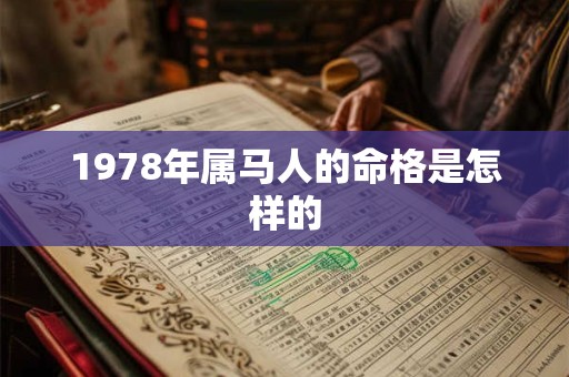 1978年属马人的命格是怎样的