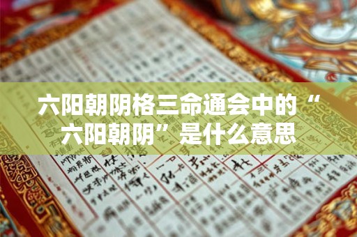 六阳朝阴格三命通会中的“六阳朝阴”是什么意思