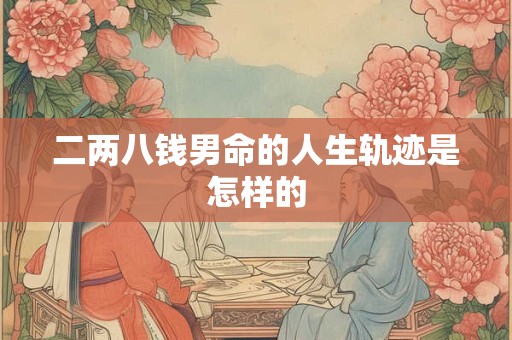 二两八钱男命的人生轨迹是怎样的