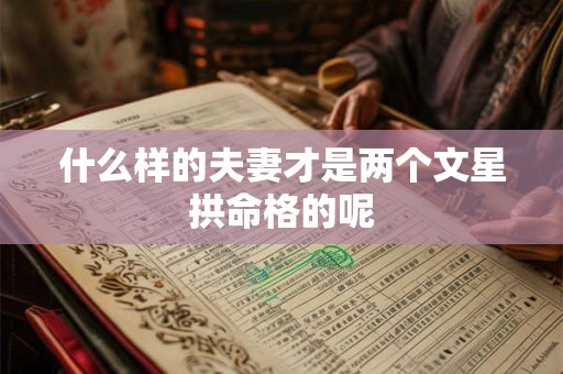 什么样的夫妻才是两个文星拱命格的呢