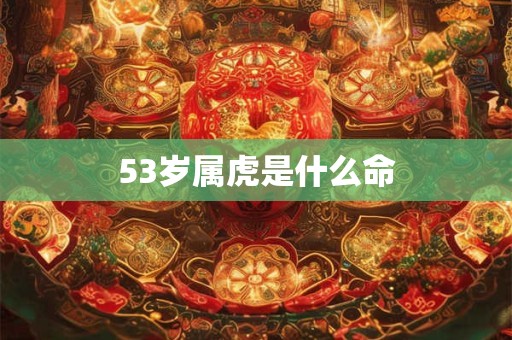53岁属虎是什么命