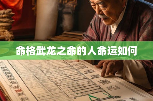 命格武龙之命的人命运如何