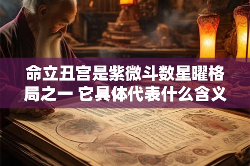 命立丑宫是紫微斗数星曜格局之一 它具体代表什么含义呢