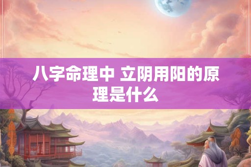 八字命理中 立阴用阳的原理是什么