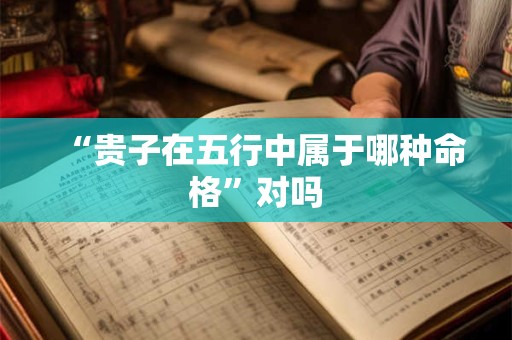 “贵子在五行中属于哪种命格”对吗 “贵子在五行中属于哪种命格”对吗