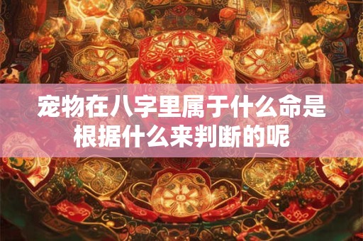 宠物在八字里属于什么命是根据什么来判断的呢
