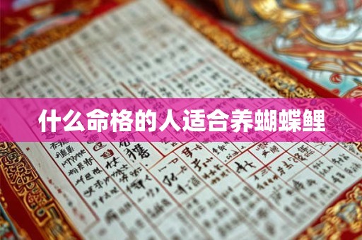 什么命格的人适合养蝴蝶鲤